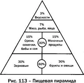 Уровень 1Чтобы питание было здоровым и малотоксичным основу рациона - фото 60