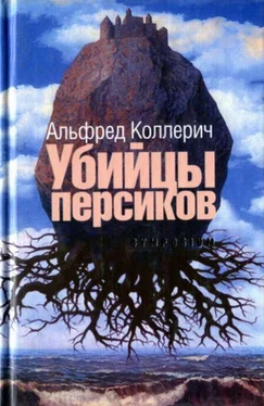 Альфред Коллерич Убийцы персиков: Сейсмографический роман обложка книги