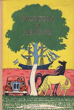 Вера Ферра-Микура Валентин свистит в травинку обложка книги