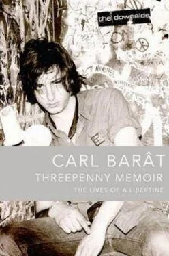 Carl Barat Threepenny Memoir_ The Lives of a Libertine обложка книги