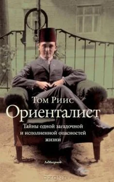 Том Риис Ориенталист обложка книги