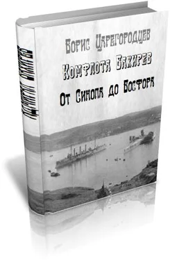 Борис Царегородцев Комфлота Бахирев. От Синопа до Босфора. обложка книги