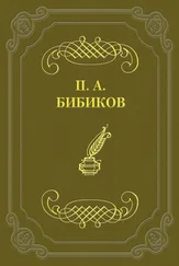Петр Бибиков - Территориальная военная система
