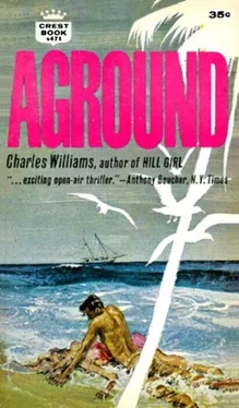 Charles Williams Aground обложка книги