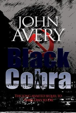 John Avery Black Cobra обложка книги