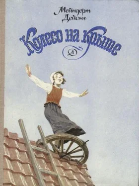 Мейндерт Дейонг Колесо на крыше обложка книги