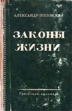 Александр Поповский Искусство творения обложка книги