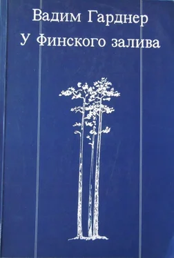 Вадим Гарднер У Финского залива обложка книги