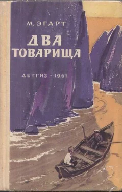 Марк Эгарт Два товарища обложка книги