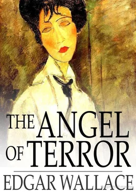 Edgar Wallace The Angel of Terror обложка книги