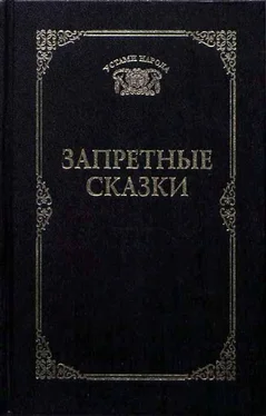 Татьяна Ахметова Запретные сказки обложка книги