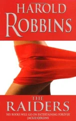Гарольд Роббинс - The Raiders