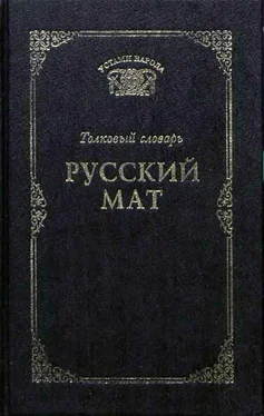 Татьяна Ахметова Русский мат обложка книги