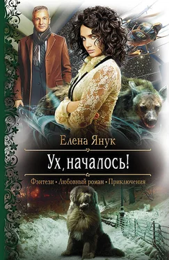 Елена Янук Ух, началось! обложка книги