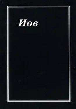 Неизвестный Автор Иов обложка книги