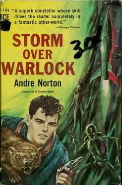 Andre Norton Storm Over Warlock обложка книги