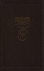 Ярослав Гашек - Тюремная кухня