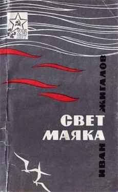 Иван Жигалов Свет маяка обложка книги
