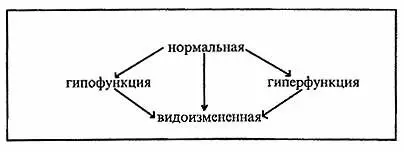 Если понятия гипофункции и гиперфункции не вызывают вопросов у клиницистов то - фото 1