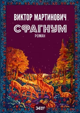 Виктор Мартинович Сфагнум обложка книги