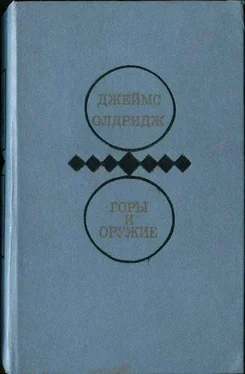 Джеймс Олдридж Горы и оружие обложка книги
