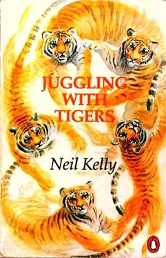 Нил Келли Жонглёр с тиграми обложка книги