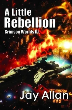 Jay Allan A Little Rebellion обложка книги