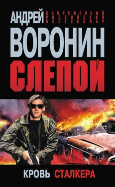 Андрей Воронин Слепой. Кровь сталкера обложка книги