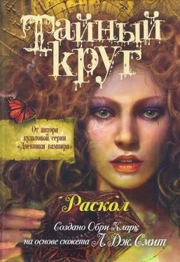 Лиза Смит Раскол обложка книги