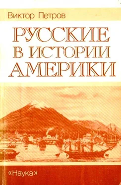 Виктор Петров Русские в истории Америки обложка книги