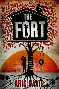 Aric Davis The Fort обложка книги