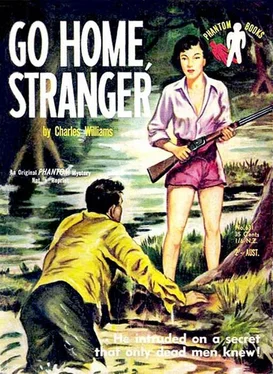 Charles Williams Go Home, Stranger обложка книги