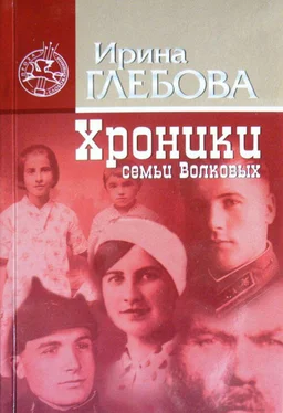 Ирина Глебова Хроники семьи Волковых обложка книги