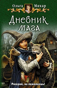 Ольга Мяхар Дневник мага обложка книги