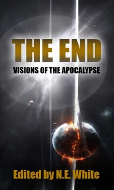N. White The End - Visions of Apocalypse