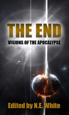 N. White The End - Visions of Apocalypse обложка книги