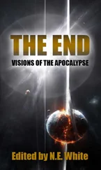 N. White - The End - Visions of Apocalypse
