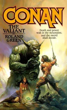 Roland Green Conan The Valiant обложка книги