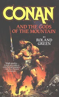 Roland Green Conan and The Gods of The Mountains обложка книги