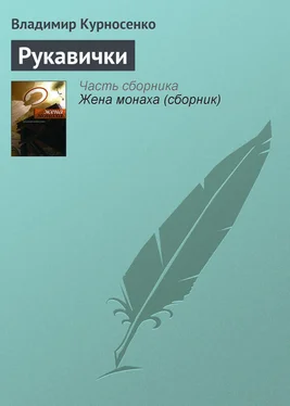 Владимир Курносенко Рукавички обложка книги