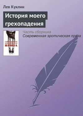 Лев Куклин История моего грехопадения обложка книги