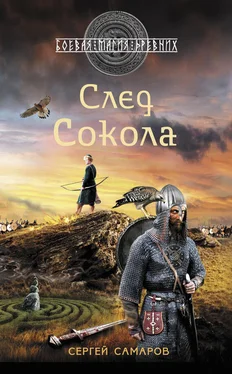 Сергей Самаров След Сокола обложка книги