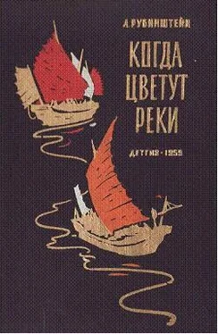 Лев Рубинштейн Когда цветут реки обложка книги