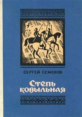 Сергей Семенов Степь ковыльная обложка книги