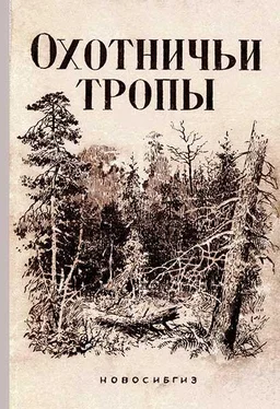 Никандр Алексеев Охотничьи тропы обложка книги