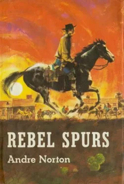 Andre Norton Rebel Spurs обложка книги