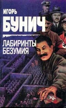 Игорь Бунич Лабиринты безумия обложка книги