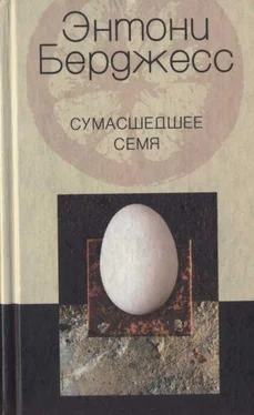 Энтони Берджесс Сумасшедшее семя обложка книги