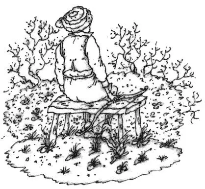 Я уверена тебе понравится сказала миссис Браун желая его успокоить Ты - фото 9