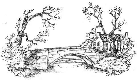 Они толкались гонялись друг за другом по полю теряли друг друга в кромешной - фото 17